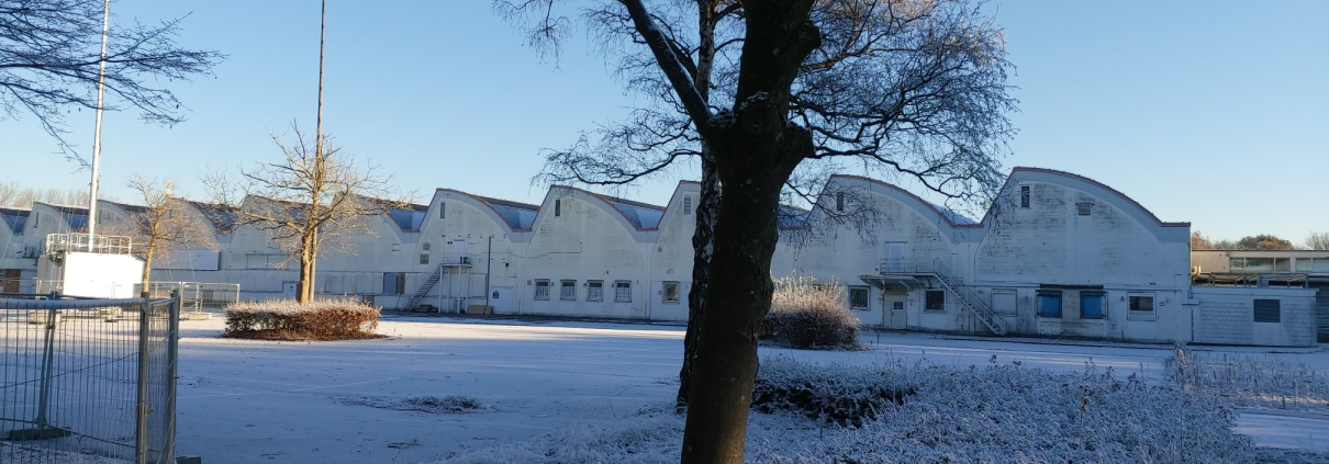 Ein Baum im Schnee vor Hallen